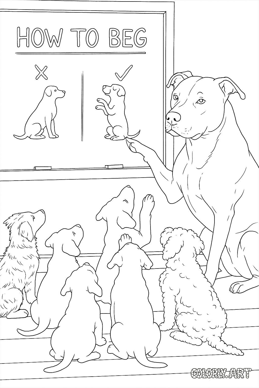 Dog Begging Lesson.png